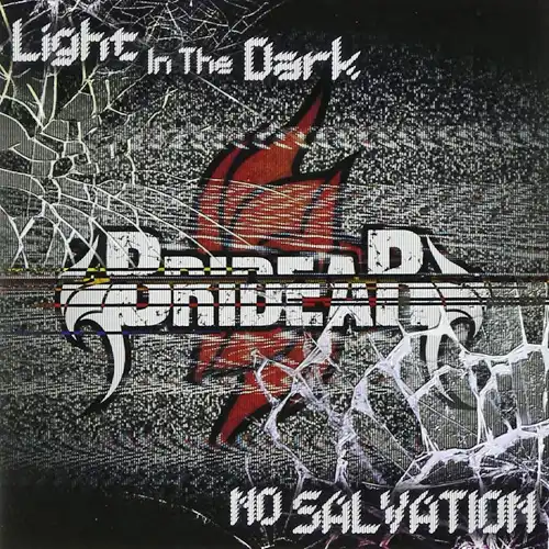 bridear light in the dark