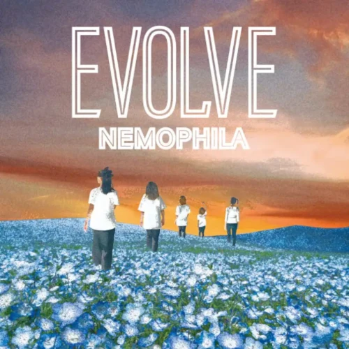 nemophia evolve 3