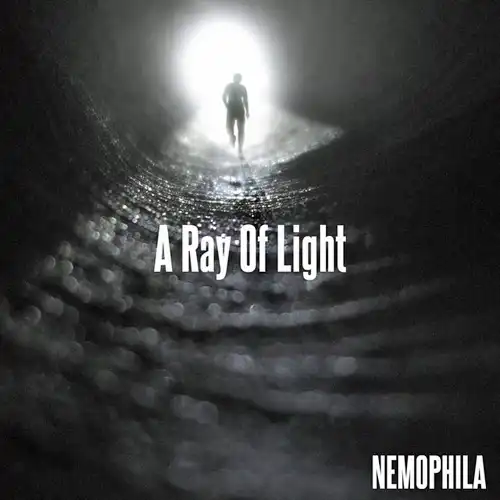 nemophia ray of light