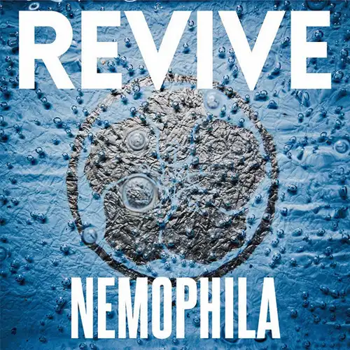 nemophila revive